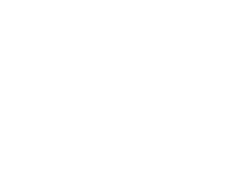 საქართველოს რაგბის კავშირის სპონსორი