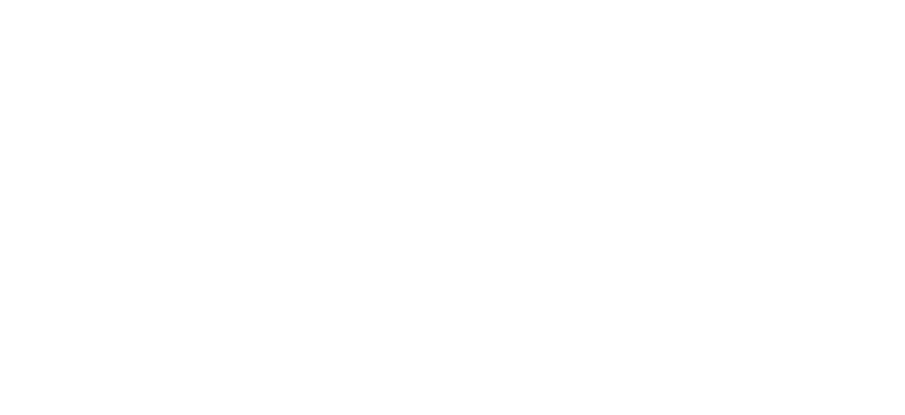 საქართველოს რაგბის კავშირის სპონსორი